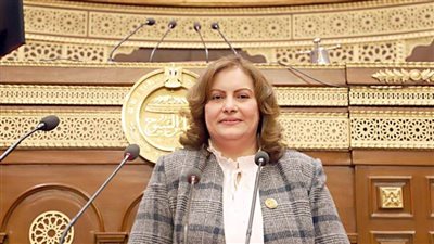 برلمانية: الزج باسم مصر لتشويه دورها في القضية الفلسطينية محاولات فاشلة.. وجهودها يراها العالم