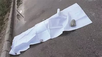 بسبب كاميرا مراقبة.. منجد يقتل جزارًا بالفيوم