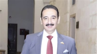 عضو بالشيوخ : بيان الخارجية يعكس الثوابت المصرية في الدفاع عن القضية الفلسطينية