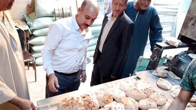 المنيا.. ضبط 167 مخالفة تموينية بمخابز ملوي خلال حملات تفتيشية مكثفة