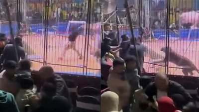 تأجيل ثاني جلسات محاكمة مدربة الأسود في واقعة عامل سيرك طنطا