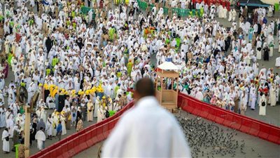 الحجاج المصريون يؤكدون أن تجربة الحج هذا العام كانت استثنائية في جميع تفاصيلها