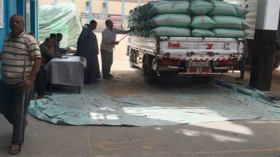 محافظ المنيا: استمرار أعمال توريد القمح بتوريد 509 آلاف طن بالشون والصوامع 