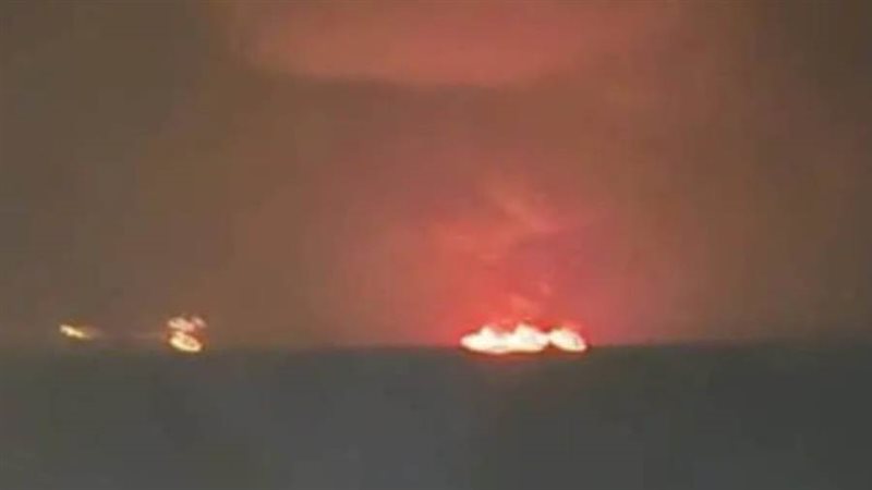 الصورة منشورة على