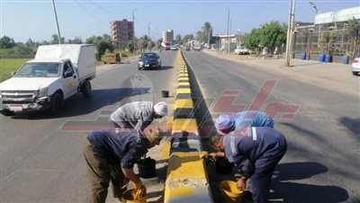 حملات نظافة وطلاء بلدورات بدسوق في كفر الشيخ 