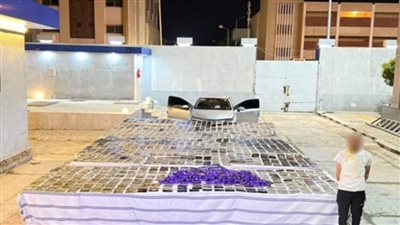 ضبط  بؤر إجرامية لتجارة المخدرات والأسلحة النارية غير المرخصة بنطاق عدة محافظات 