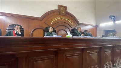 جنايات دمنهور: إحالة أوراق 3 أشخاص لفضيلة مفتى الجمهورية لأخذ الرأي الشرعي في إعدامهم