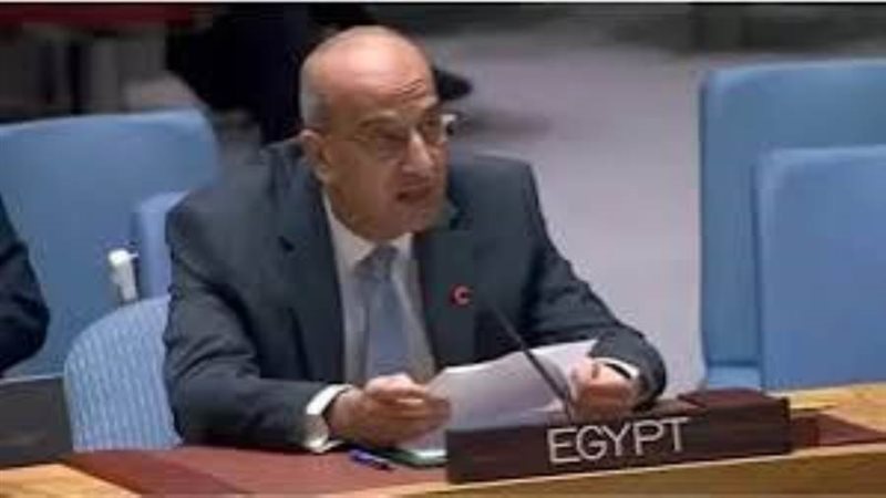 السفير أسامة عبدالخالق