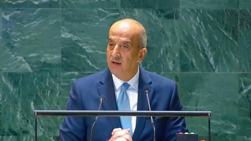 السفير أسامة عبدالخالق