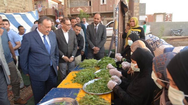 محافظ أسيوط يتفقد