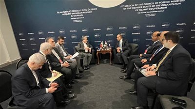 وزير الخارجية يلتقي نظيره الإيراني في إسطنبول 