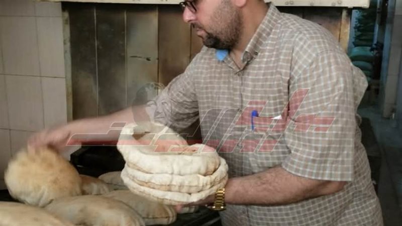 الحملات المبكرة