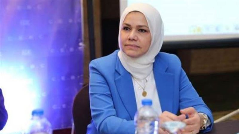 رئيس مصلحة الضرائب