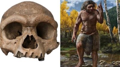 علماء يحلون لغز 