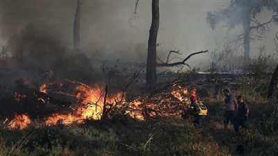 إجلاء المزيد من سكان جزيرة خيوس باليونان مع استمرار اشتعال حرائق الغابات