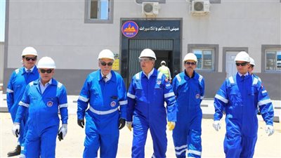 الجيولوجي علاء البطل: 