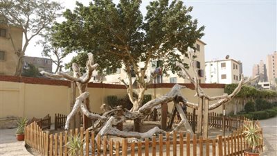 مشروع القاهرة الخضراء يعيد المظهر الجمالي لحديقة ومكتبة شجرة مريم