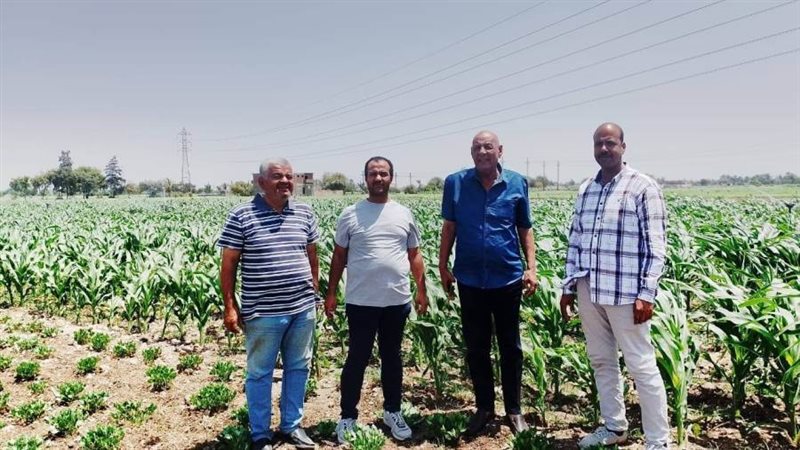 وكيل زراعة أسيوط