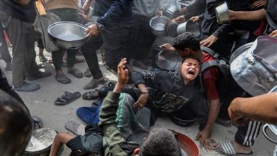 برنامج الغذاء العالمي: عملية توزيع الدقيق لا تزال متوقفة في غزة