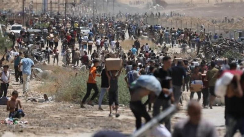 بوابة روز اليوسف