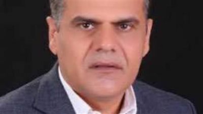 نزيه: ثورة ٣٠ يونيو ساهمت في توطين الصناعة المصرية