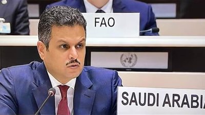 المملكة تؤكد أهمية تنفيذ اتفاقية الأمم المتحدة الخاصة بتغير المناخ 