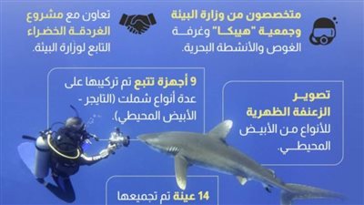 عاجل.. كيف نجحت مصر في تتبع أسماك القرش بالبحر الأحمر؟ 