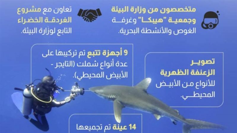 تتبع أسماك القرش