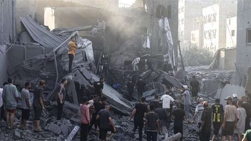 بوابة روز اليوسف