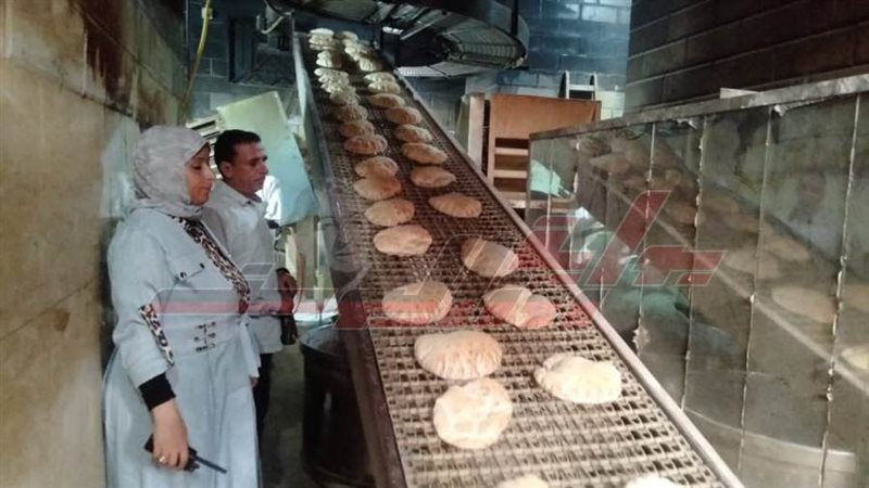 الحملات الرقابية