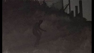 عاجل.. قطة سوداء تثير الرعب في الحي الهادئ 