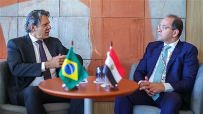 وزير المالية: تعزيز التعاون الاقتصادي والاستثماري الثنائى ومع دول «البريكس» 