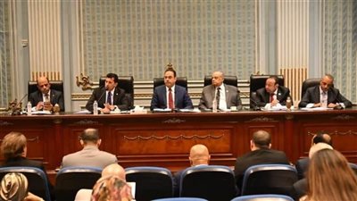 وزير الشباب أمام النواب: تعديلات قانون الرياضة لا تنص على تطبيق بند الثماني سنوات بأثر رجعي 