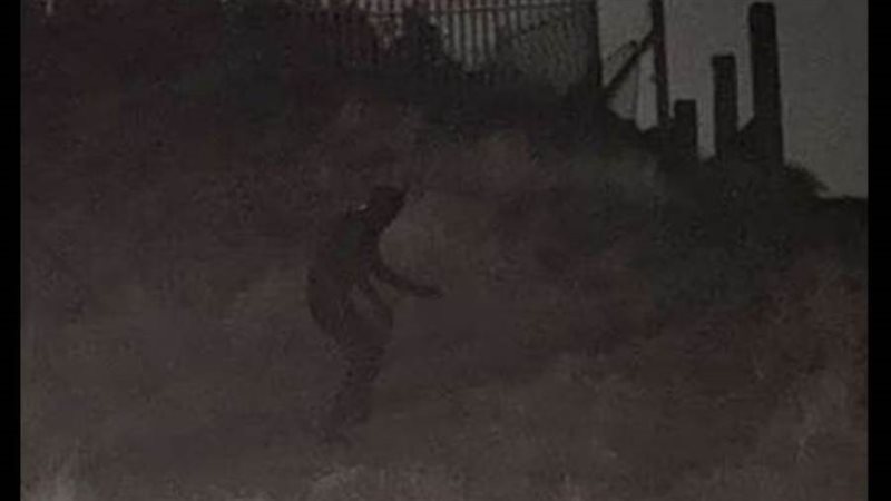 الشخصية الغامضة