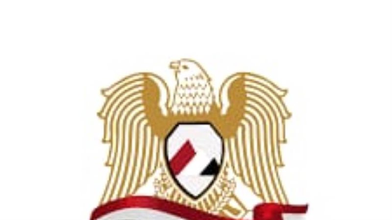 حزب المصريين
