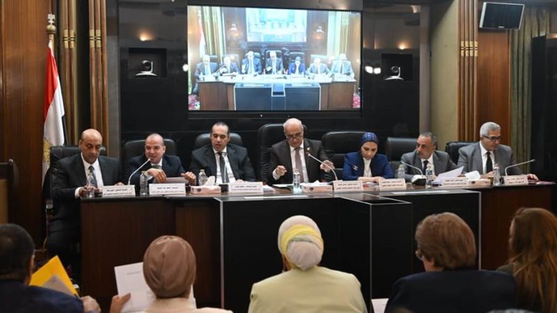 خلال اجتماع لجنة