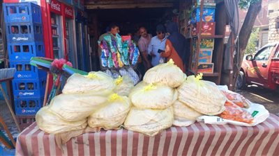 محافظ الدقهلية يوجه بالتحفظ على كميات خبز مدعم تباع بسعر حر ببلقاس