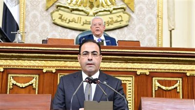 رئيس شباب النواب: التجربة العملية لتطبيق قانون الرياضة كشفت التحديات والسلبيات وغياب الأدوات الرقابية