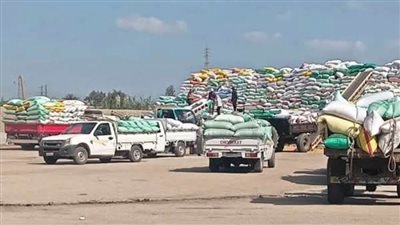 صوامع وشون الشرقية تستقبل 600892 طنا من الأقماح 