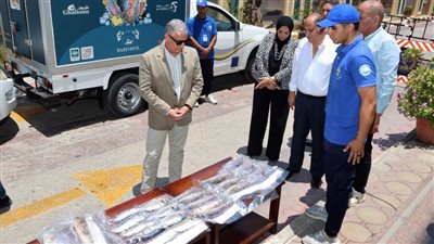 محافظة الإسماعيلية تواصل جهودها في توفير الأسماك والسلع الأساسية بأسعار مخفضة وجودة عالية 