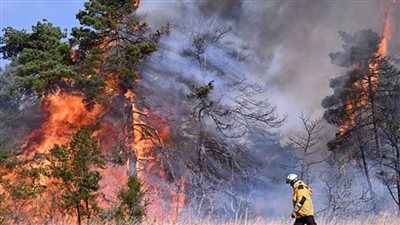 عاجل .. حريق هائل يلتهم 700 هكتار من النباتات بجنوب فرنسا ويمتد لشمال مرسيليا