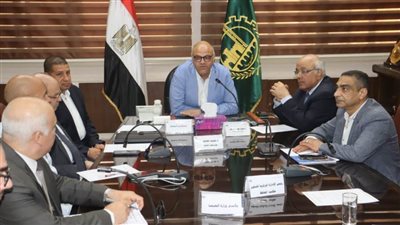 محافظ القليوبية يترأس اجتماع مجلس الصحة الإقليمي لتطوير الخدمات الطبية