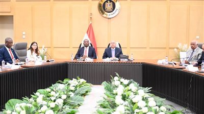 مصر والكونغو الديمقراطية تبحثان تدعيم التعاون في مجالات النقل وتعظيم دور الشركات المصرية 