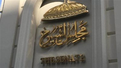 بالأسماء.. 17 مرشحًا إجمالى المتقدمين لانتخابات مجلس 