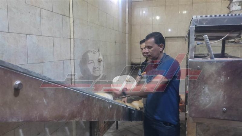 الحملات التموينية