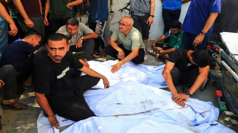 بوابة روز اليوسف