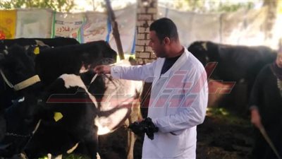 انطلاق الحملة القومية للتحصين ضد الحمى القلاعية وحمى الوادي المتصدع