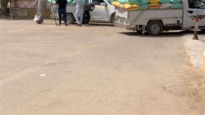 توريد 601 ألف طن من الأقماح المحلية إلى مواقع التخزين بالشرقية 