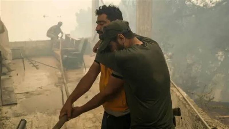 بوابة روز اليوسف