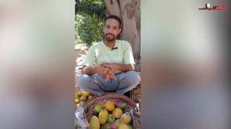 مزرعة جبل مريم في الإسماعيلية